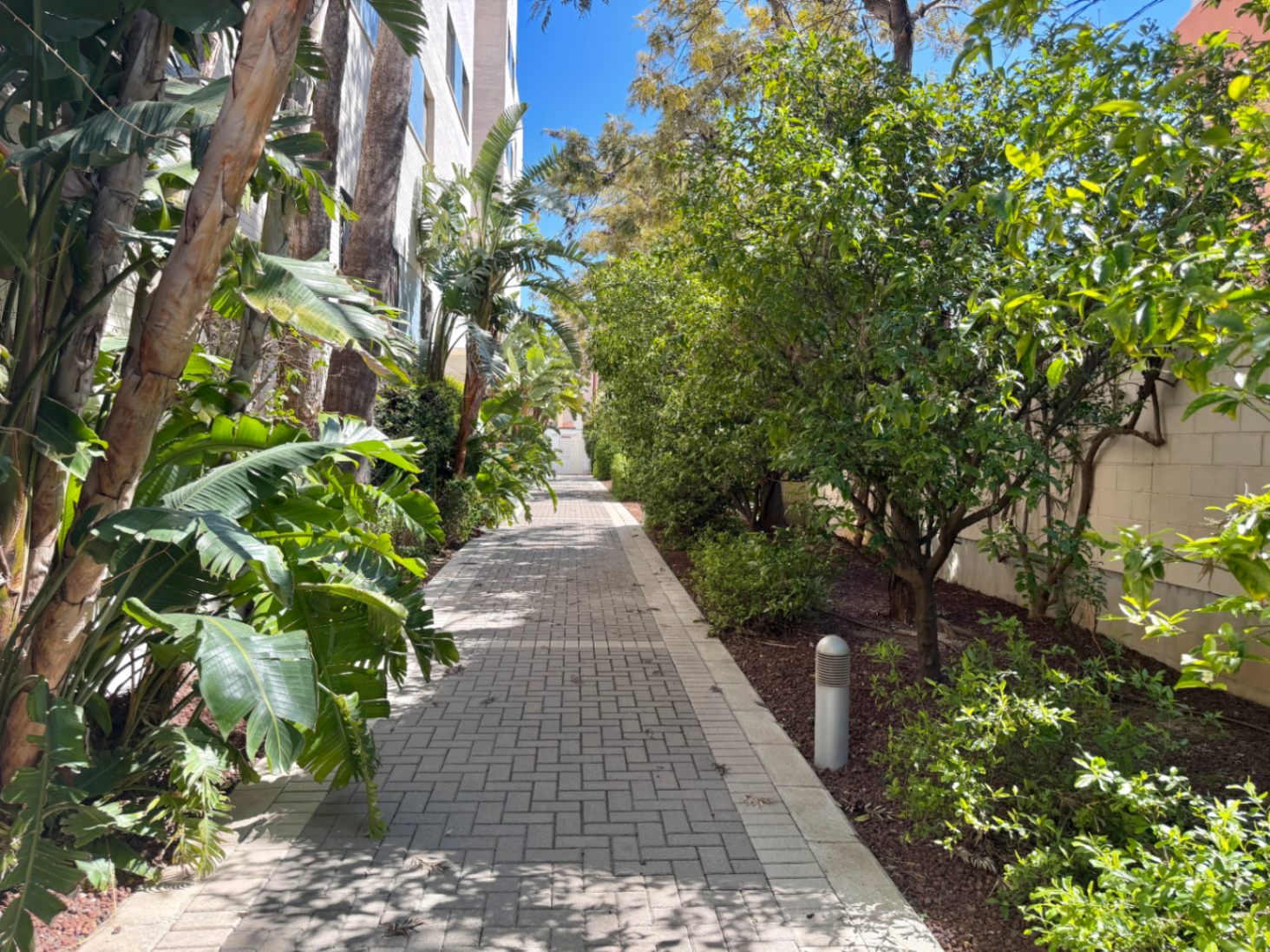 Planta baja al principio de las Marinas, Denia